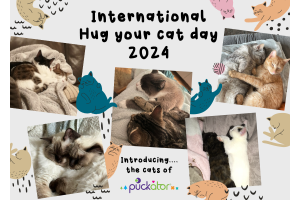 Celebrate National Hug Your Cat Day with Puckator Wholesale