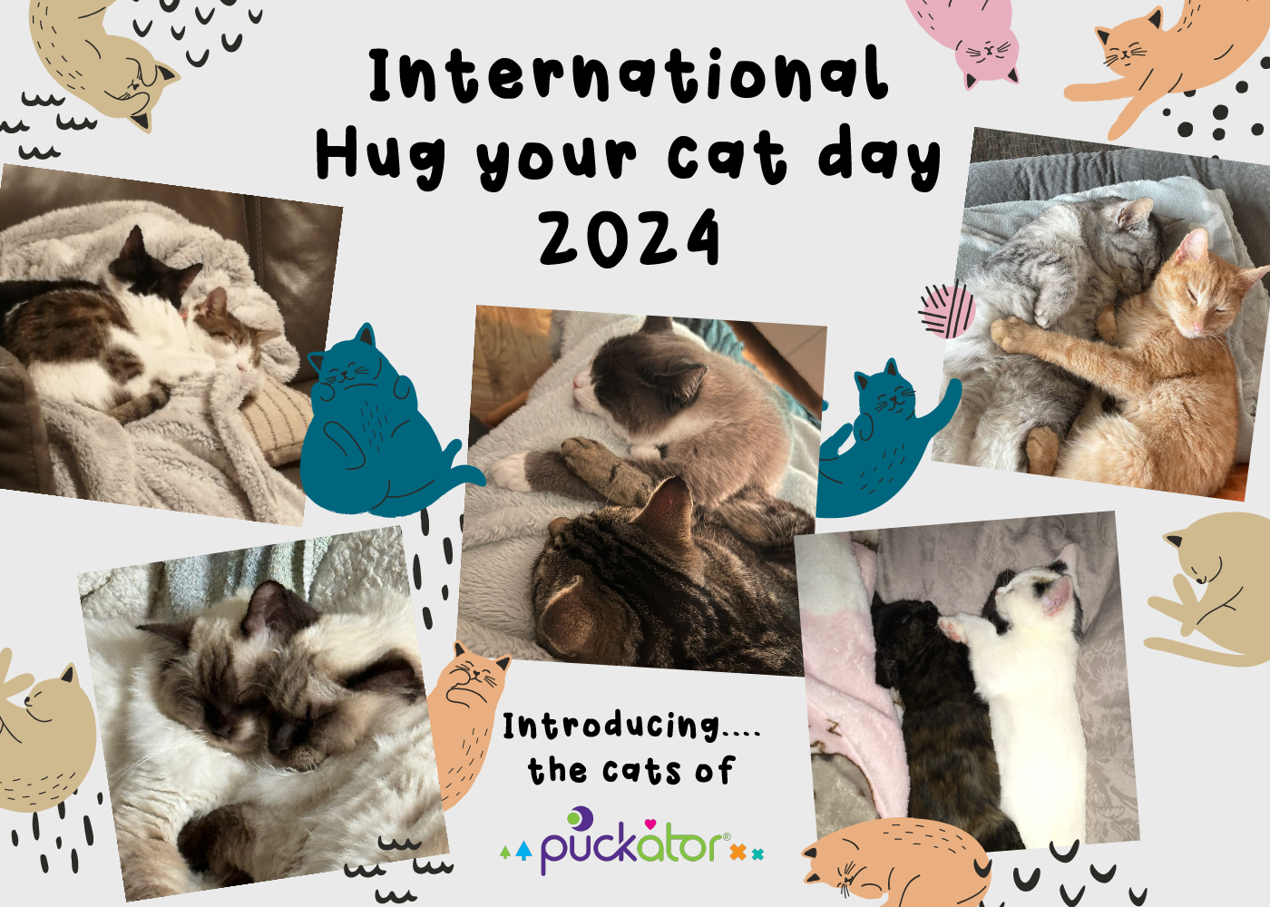 Celebrate National Hug Your Cat Day with Puckator Wholesale